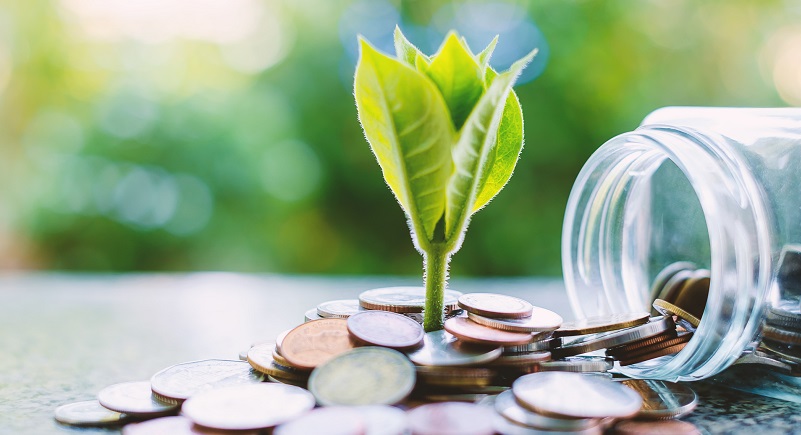 Plant growing from coins outside the glass jar on blurred green natural background for business and financial growth concept.
